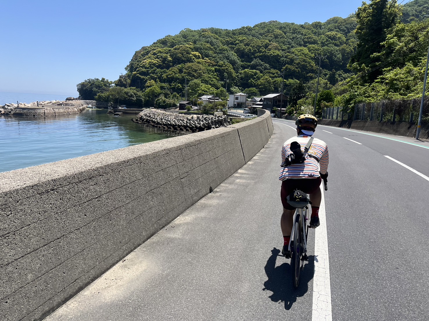 ロードバイク（グランディール）4月13まで ROCKHOPPER SPORT SPHR/DUNEWHT L 29(L グロスサファイア