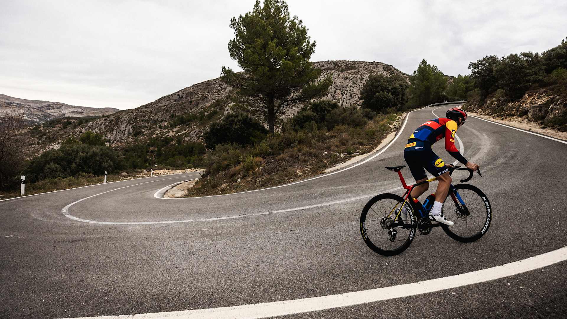 TREK 無金利キャンペーン！ あなたの走りに0%の追い風を | BICYCLE PRO