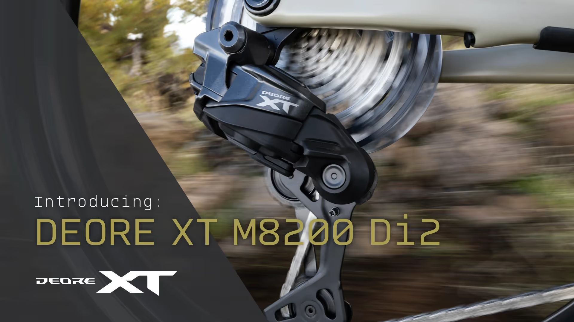 xt-video-1-2-thumbnail-