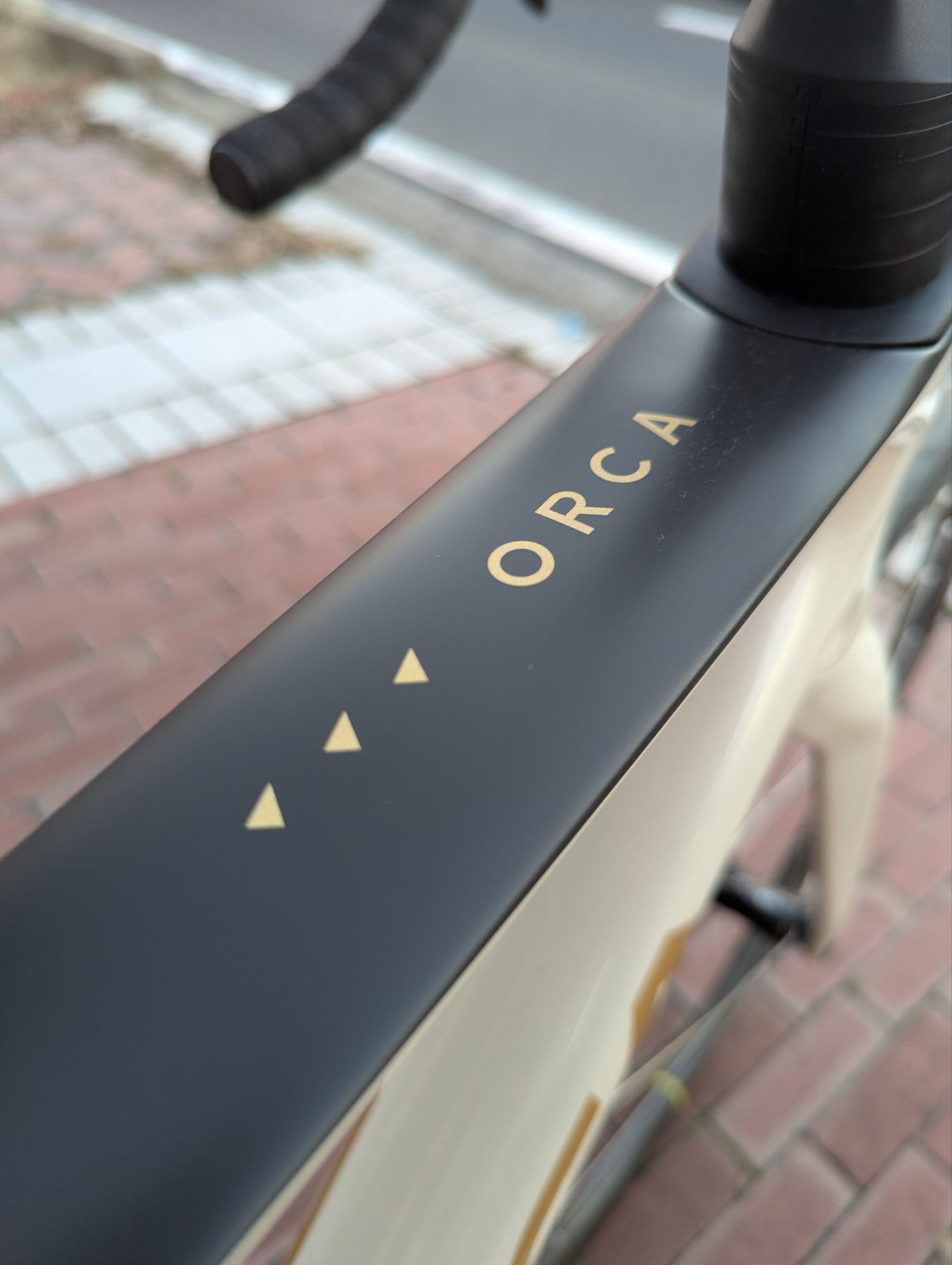 BICYCLE PRO SHOP なかやま